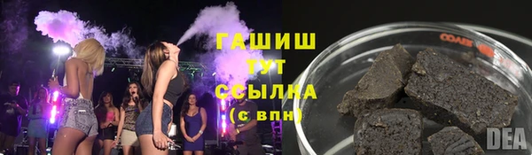 прущие грибы Горно-Алтайск