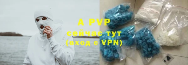прущие грибы Горно-Алтайск