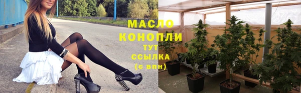 прущие грибы Горно-Алтайск